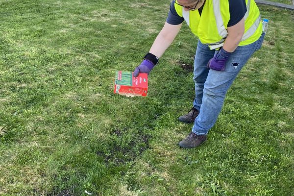 Grass Seed Planting-After