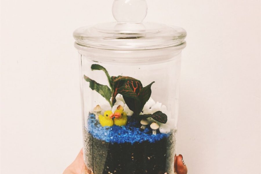 Processed with VSCO with f1 preset